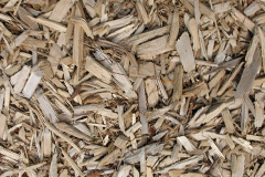 biomass boilers Rumsam